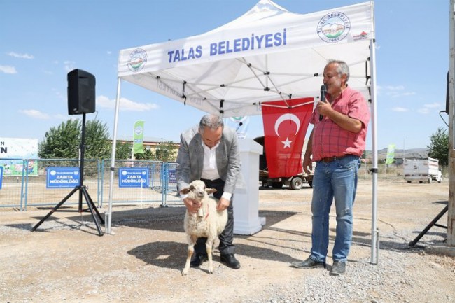 Kayseri Talas'ta hayvancılığa tam destek