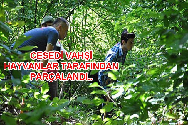 Kayıp ceset 16 gün sonra bulundu..