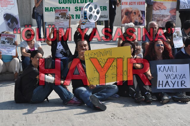 'Ölüm yasası' hayvanseverleri sokağa döktü!..
