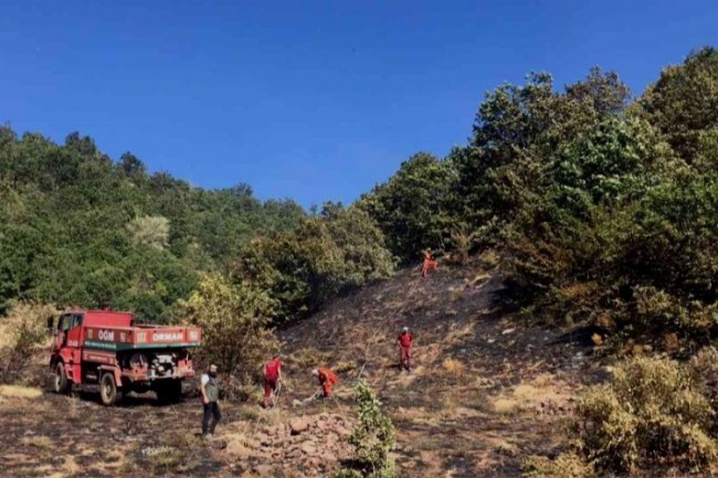 Bingöl'de orman yangını kontrol altına alındı
