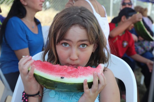 Kocaeli İzmit'te Orman Okulu'nun minikleri karpuz hasadında