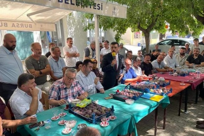 Bursa'da İYİ Partililer, incir üreticisinin mağduriyetini dile getirdi