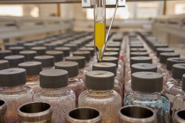 Sözal Kimya Dye+Chem Fuarı'nda ziyaretçilerle buluştu