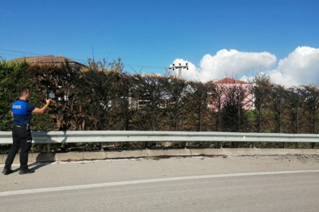 Düzce'de Kervan Kavşağı'nda ağaçları yaktılar