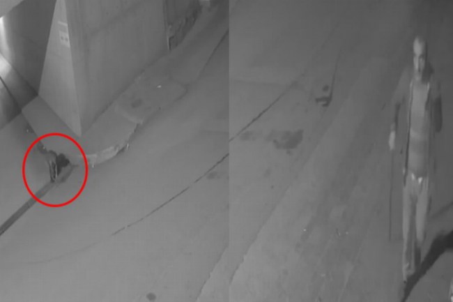 Bursa Gemlik'te mazgal hırsızları kameraya yakalandı