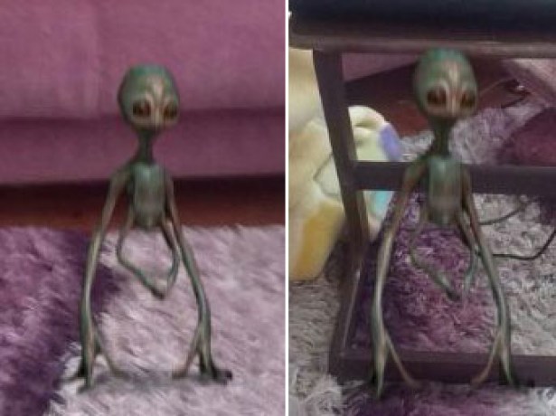 Bitliste 'tanımlanamayan yaratık' paniği