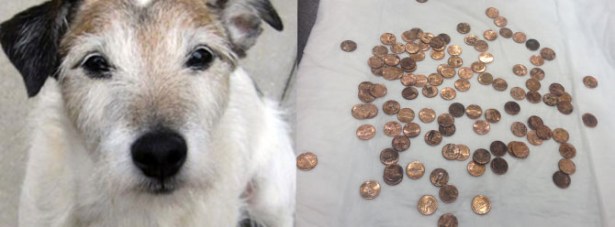 Midesinden 111 tane bozuk para çıktı