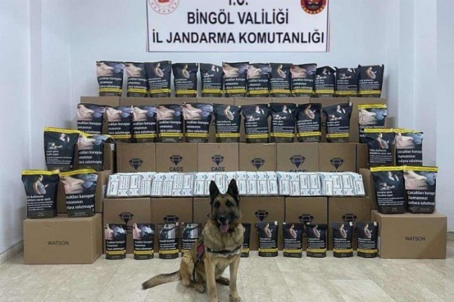 Bingöl'de kaçak tütüne 1 gözaltı