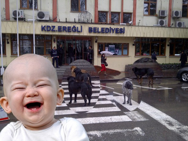 Beleş kart mı istiyorlar?..