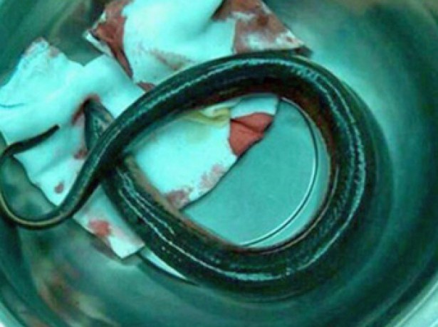 İçinden çıkana inanamayacaksınız!