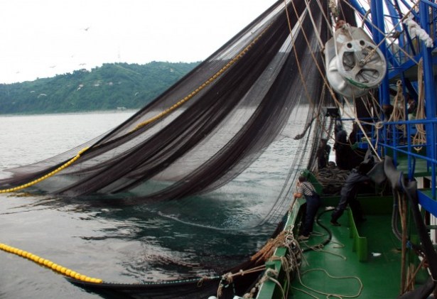 Balıkçılık sezonu kapandı!..