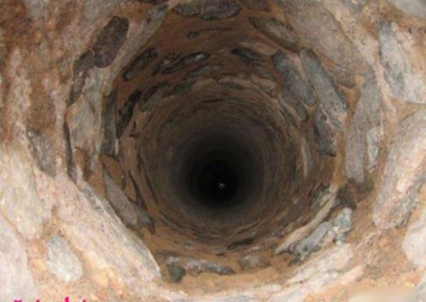 Yavru domuzlar su kuyusuna düştü