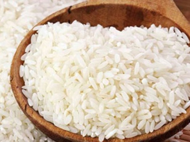 İTÜ'den GDO'lu pirinç açıklaması