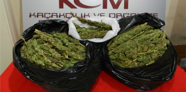 Zonguldak'ta Uyuşturucu Operasyonu