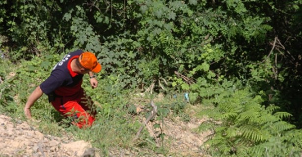 Ormanda çilek toplarken kayboldu