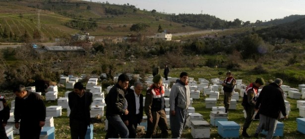 Arı kovanı hırsızlığına 2 gözaltı
