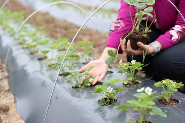 İzmit'in Çilek Köyü eğitime katkı sunacak