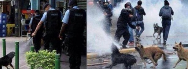 İngiliz gazetesinin skandal haberi