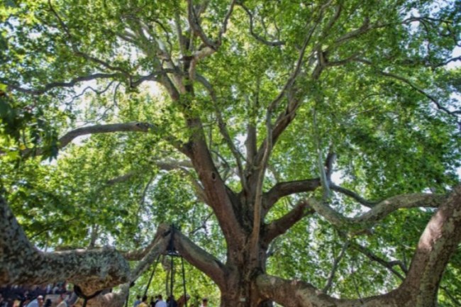 Bursa Osmangazi 'Kurumsal Sera Gazı Envanteri' hazırlandı
