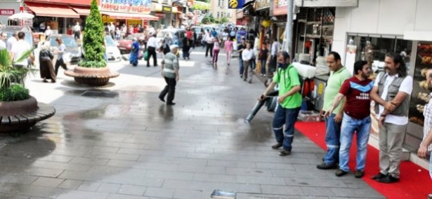 Ereğli'de sinek istilası!..