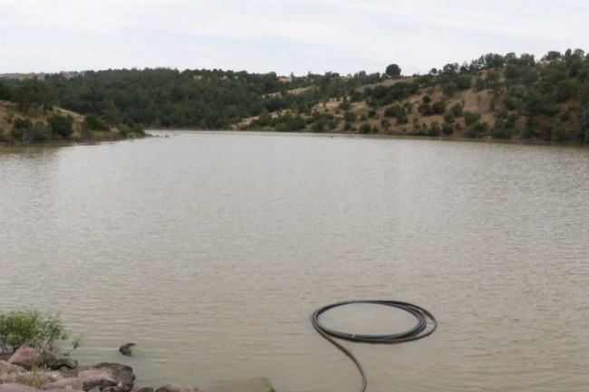 Manisa Yunusemre'de damla sulama sezonu