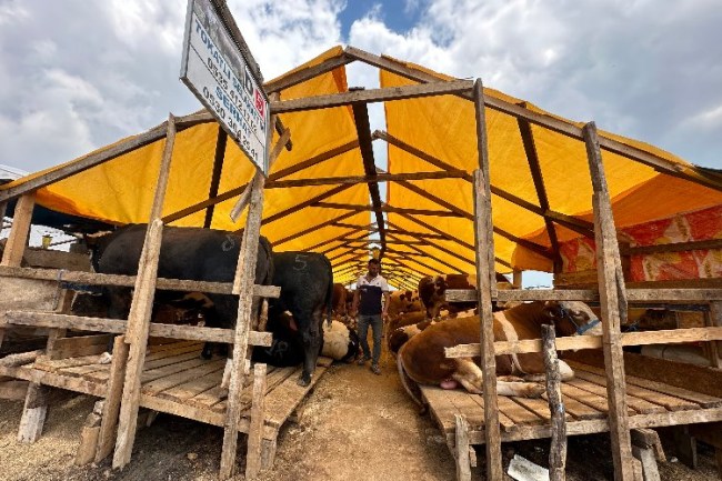 Çayırova'da kurban pazarı esnafından Başkan Çiftçi'ye teşekkür