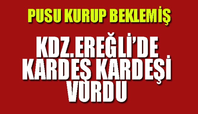 Kdz.Ereğli'de arazi anlaşmazlığında ağabey kardeşini vurdu