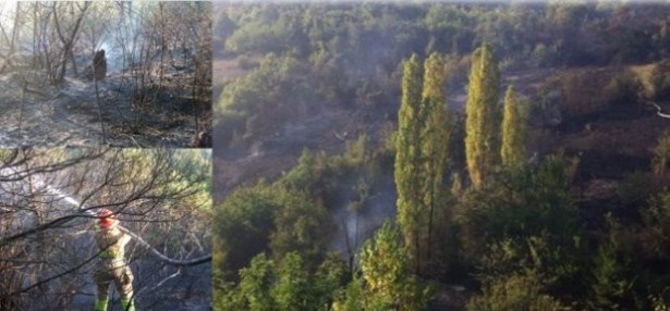 Bağlık'ta 12 dönüm orman kül oldu!..