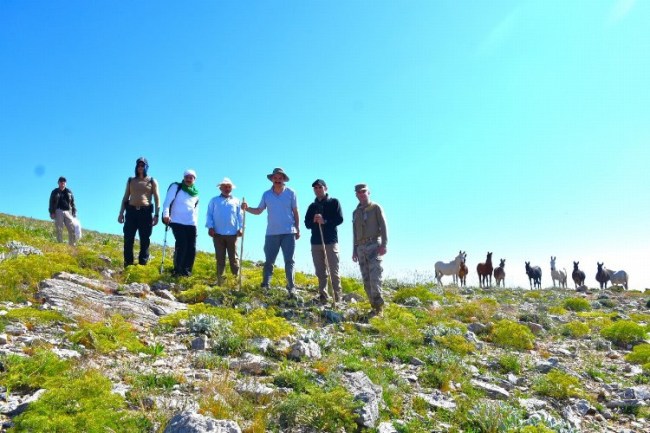 Mereto'dan ihtişama davet
