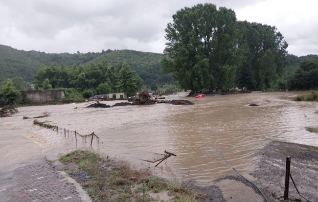 Son Dakika… Hayvan çiftliğinde mahsur kaldılar