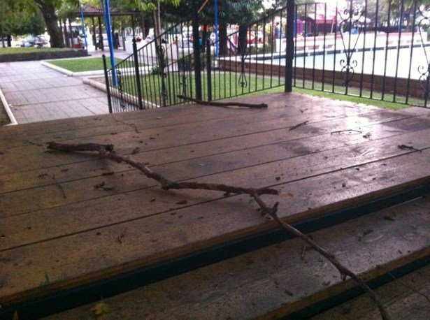 İhmalkarlık devam ediyor!..