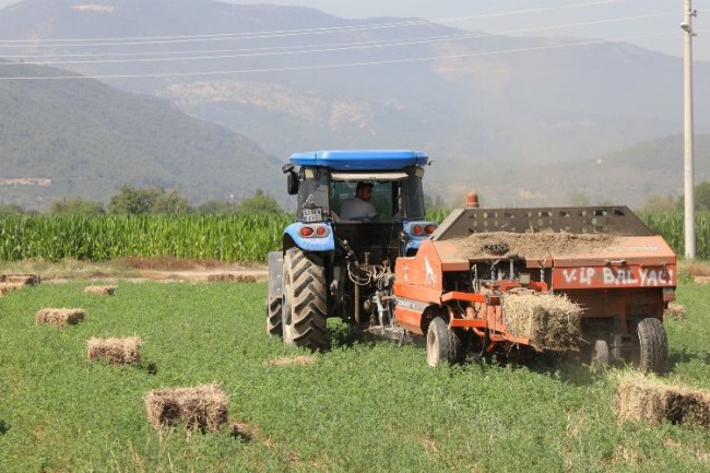 Toprak Muğla'dan üretim kooperatiflerden