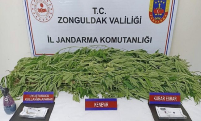 Saksıda kenevir yetiştiren şahıslara baskın