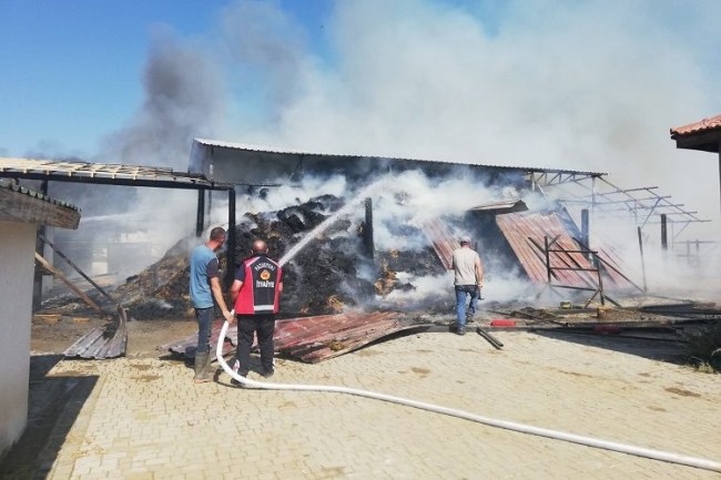 Bilecik'te at çiftliğinde büyük yangın