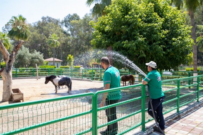 Doğa Parkı'nın sakinleri yağmurlama ile serinliyor