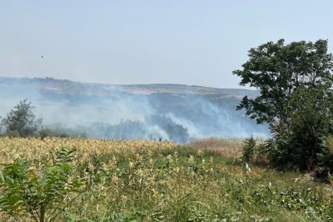 Keşan Yeşilköy'deki yangın korkuttu