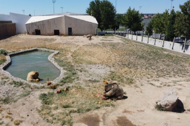 Anadolu Harikalar Diyarı'nda serinleten uygulama