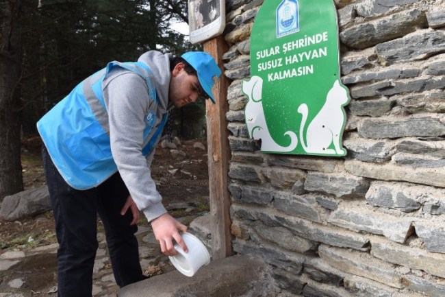 Yaz sıcaklarında sokak hayvanlarına da 'Yıldırım' takviye