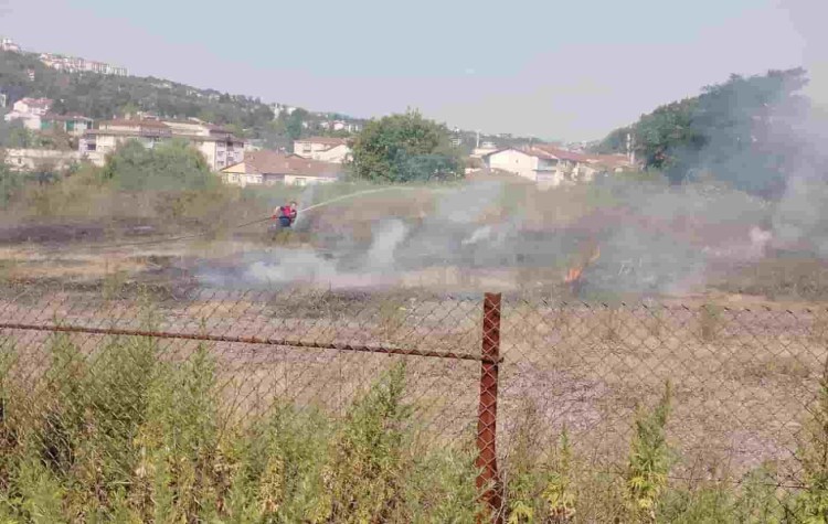 Devrek yolayrımında anız yangını