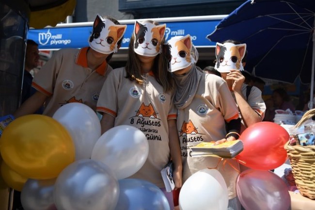 Uluslararası Kedi Günü'ne Keşan farkındalığı