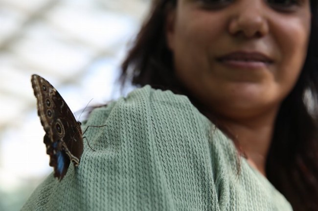 Konya'nın tropikaline yoğun ilgi