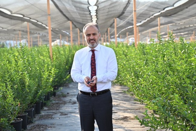 Bursa'nın yükselen değeri; tarım