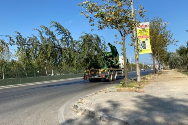 Bursa'da yeşil transferi sürüyor