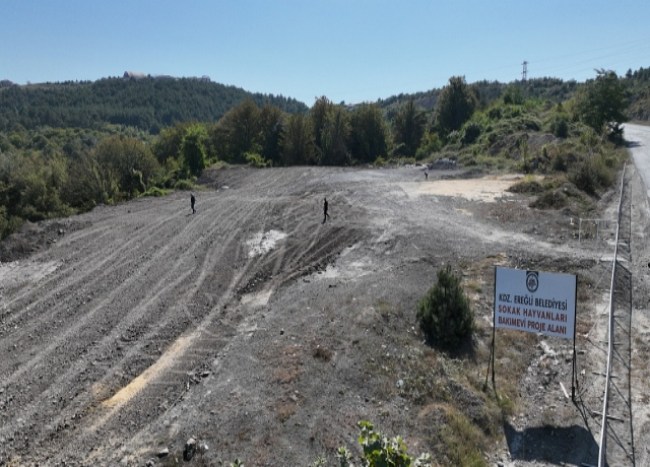Kdz. Ereğli belediyesi, hayvan hastanesi kuruyor