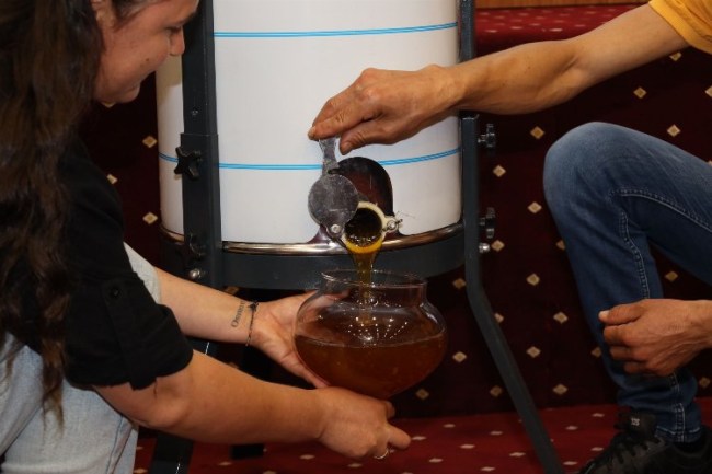 Muğla'da ilk sağım çam balı 61 bin TL!