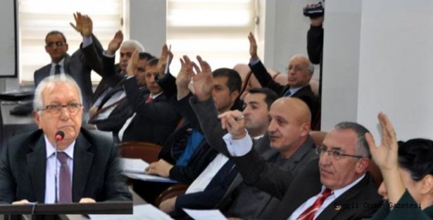 Kaplandı, kedi oldu!..