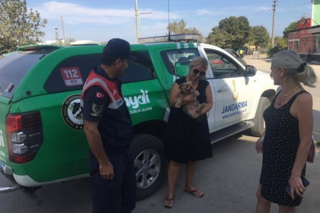 Erikli'de jandarmadan evcil hayvanlara yönelik faaliyet