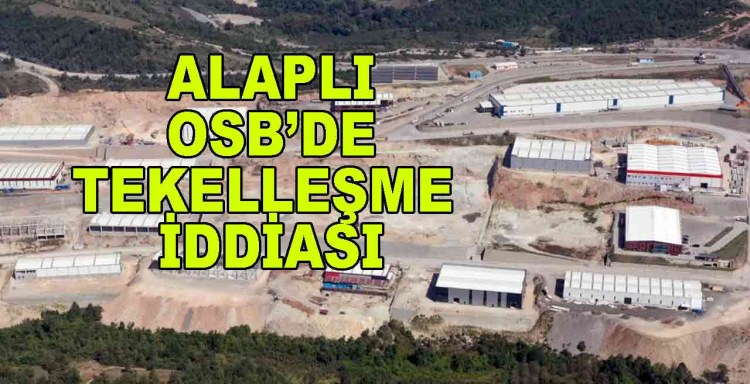 Alaplı OSB'de Organize İşler