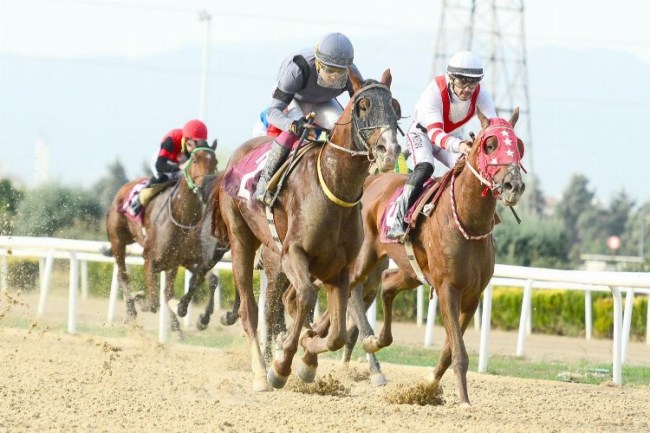 AGSYD Koşusu'nda zafer ALTINTEPE'nin!