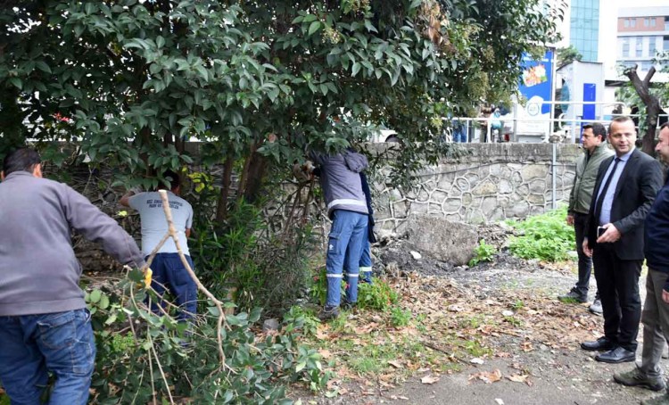 Eski kaymakamlık alanında temizlik çalışması yapılıyor